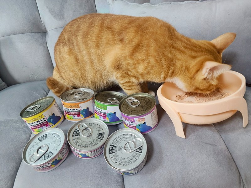 女人知己試用大隊,口碑行銷,部落客行銷,PURRFACT 波菲特貓用主食罐,主食罐,PURRFACT波菲特,貓主食罐,貓罐,PURRFACT波菲特貓用主食罐,魚肉蔓越莓主食罐,鮮嫩雞主食罐,鹿肉雞肉主食罐,牛肉鵪鶉貓主食罐,干貝蠶蛹配方,鱷魚肉白木耳配方,雞肉魚肉配方,安心鶉配方,評價,體驗,適口性佳,心得,成貓適用,高齡貓適用,質地是慕絲狀